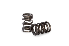 PACALOY DUAL VALVE SPRINGS (FORD NISSAN TOYOTA)