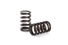 MITZI 4G63 DOHC VR4-EVO7 SINGLE SPRING