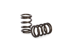 FORMULA FORD VALVE SPRING KIT