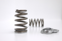 4G63DOHC BEEHIVE SPRING & BASE