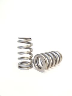 Ford Gen 2, 3.5 Litre Ecoboost V6 Beehive Valve Spring Set