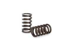 Ford Zetec Valve spring kit